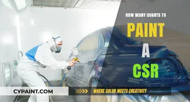 How Many Quarts of Paint Are Needed for a CSR Project?