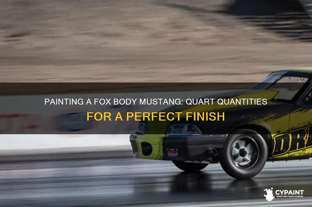 how many quarts to paint a fox body