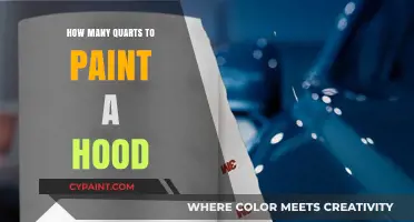 How Many Quarts of Paint Are Needed to Paint a Hood?