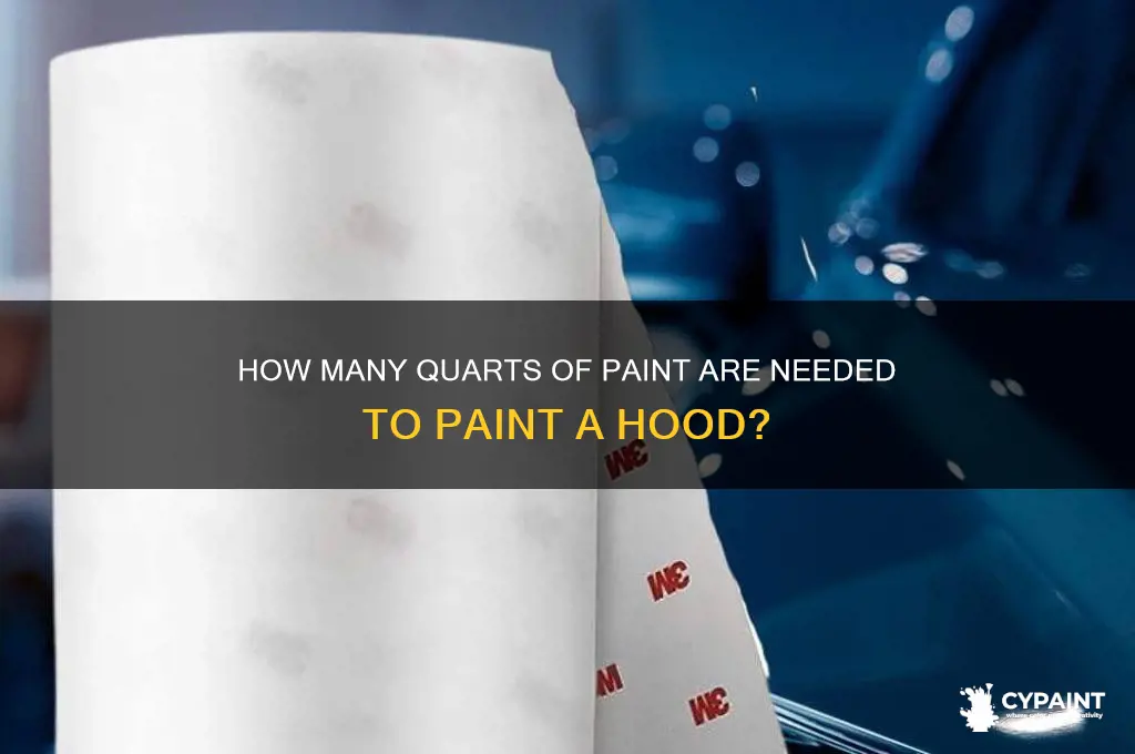 how many quarts to paint a hood