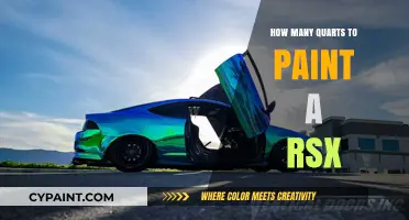 How Many Quarts of Paint Are Needed for an RSX?