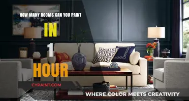 Quickly Painting Multiple Rooms: An Hourly Guide