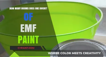 Protecting Your Home: EMF Paint Coverage
