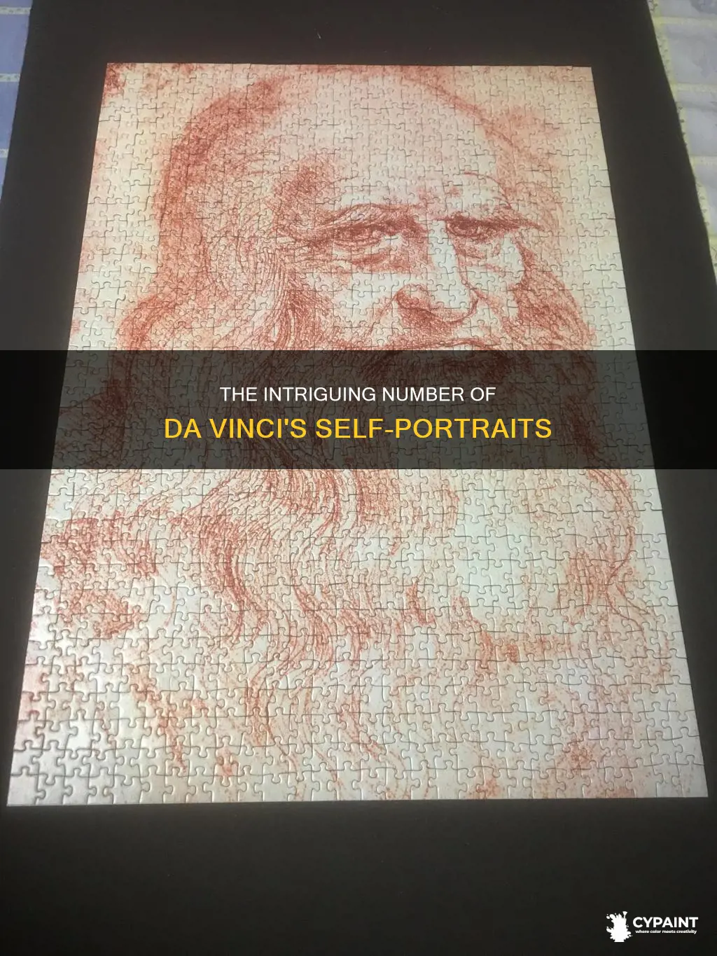 how many self portraits did leonardo da vinci paint