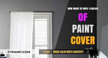 Paint Gallon Coverage: How Much Space Does It Cover?
