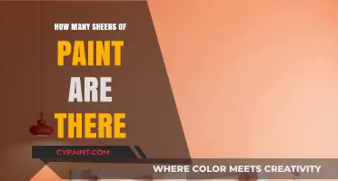 Exploring the Diverse Range of Paint Sheens and Their Uses