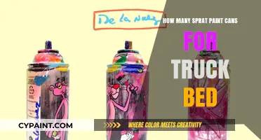 Choosing the Right Amount of Spray Paint for Your Truck Bed Makeover