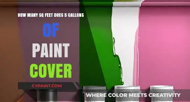 How Much Area Can 5 Gallons of Paint Cover?