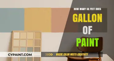 How Much Area Can One Gallon of Paint Cover?