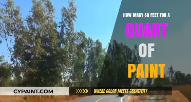 Paint Coverage: Quart of Paint for Your Space