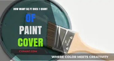 How Much Area Can 1 Quart of Paint Cover?