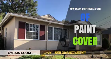 How Much Area Can One Paint Can Cover?