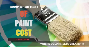 Understanding Paint Coverage: Cost per Gallon and Square Footage