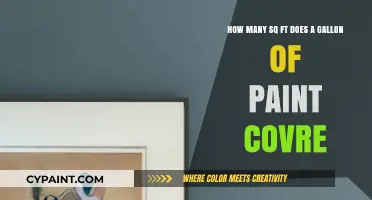How Much Area Can One Gallon of Paint Cover?