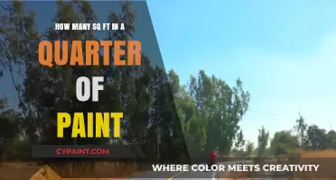 Paint Coverage: How Much Area Does a Quart Cover?