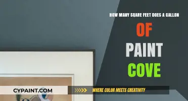 How Much Area Can One Gallon of Paint Cover?