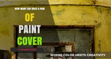 Paint Coverage: How Much Area Does a Gallon Cover?