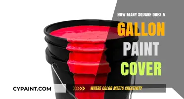 How Much Area Can 5 Gallons of Paint Cover?