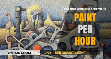 Pro Painter's Hourly Output: Square Footage Secrets Revealed