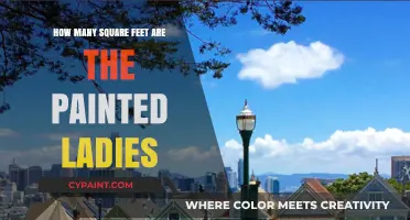 Exploring the Square Footage of San Francisco's Iconic Painted Ladies