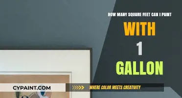 Maximize Your Paint: Coverage Guide for One Gallon