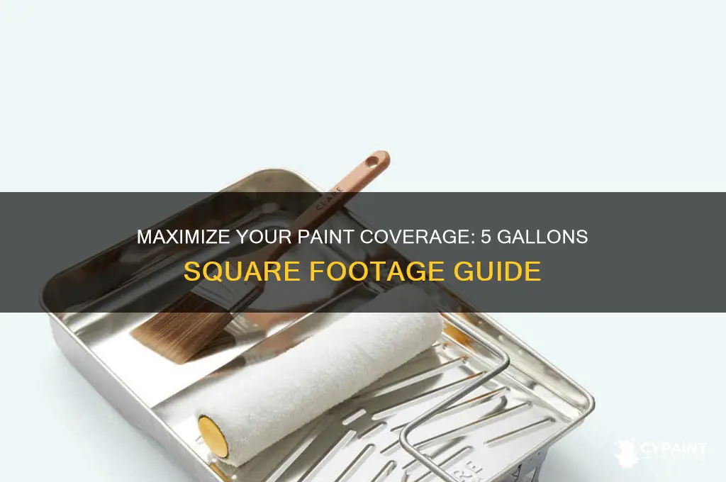 how many square feet can i paint with 5 gallons