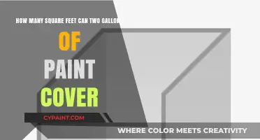 Two Gallons of Paint: Coverage and Square Footage Explained
