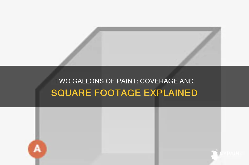how many square feet can two gallons of paint cover