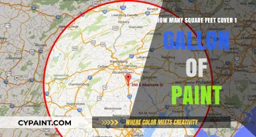 Gallon of Paint: How Much Area Does It Cover?