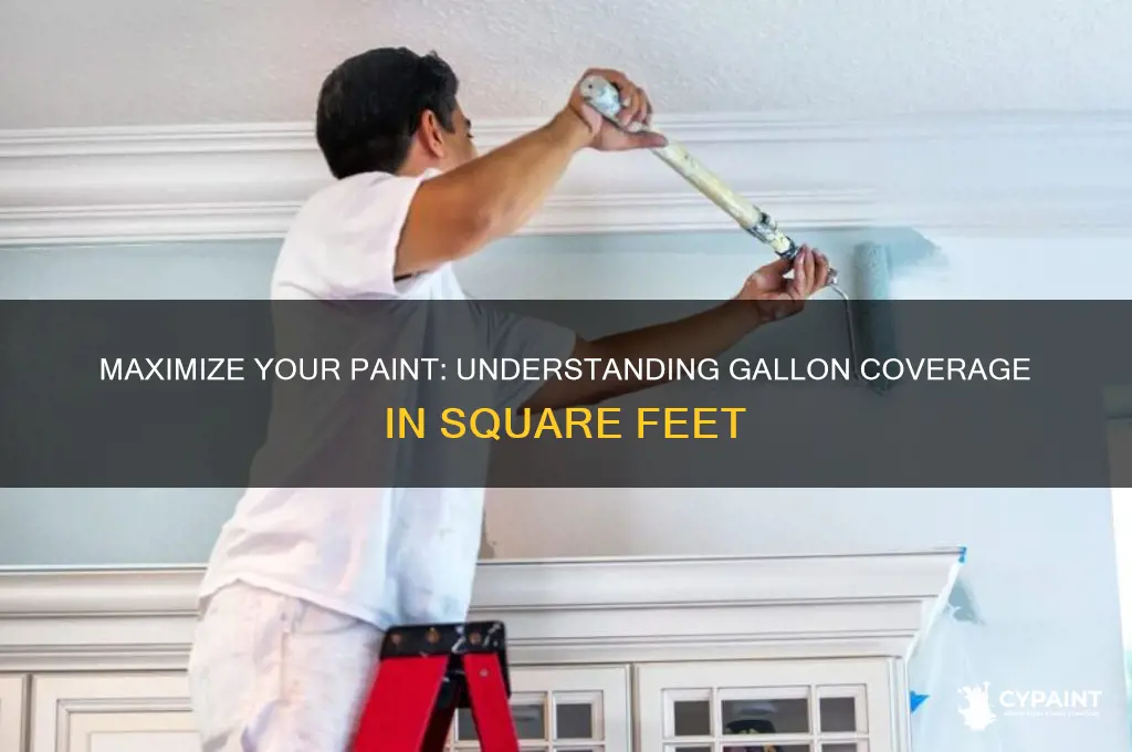 how many square feet coverage in a gallon of paint