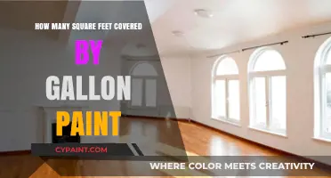 How Much Area Does a Gallon of Paint Cover?