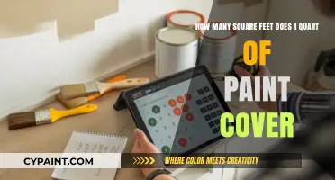 How Much Area Can 1 Quart of Paint Cover?
