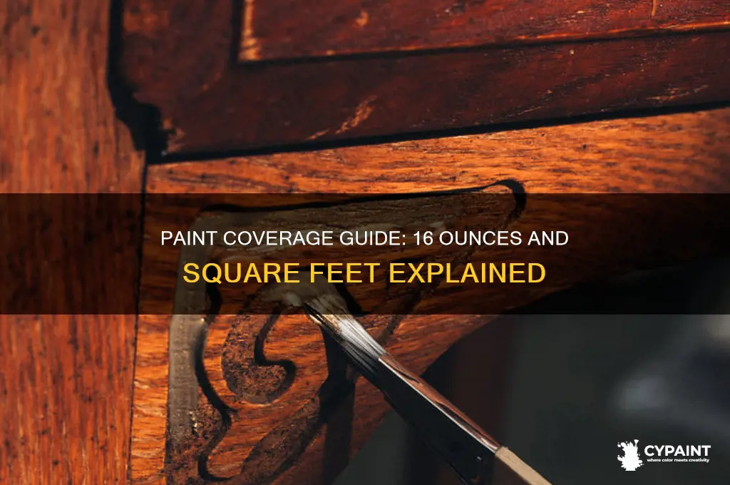 how many square feet does 16 ounces of paint cover