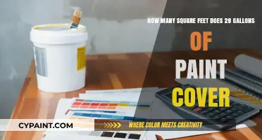 How Much Area Can 29 Gallons of Paint Cover?