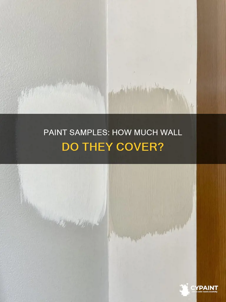 how many square feet does a paint sample cover