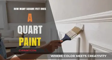 How Much Area Can a Quart of Paint Cover?
