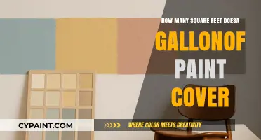 How Much Area Can a Gallon of Paint Cover?