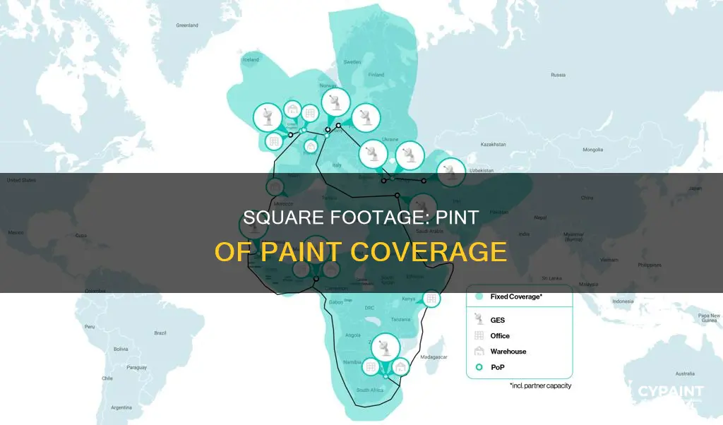how many square feet in a pint of paint