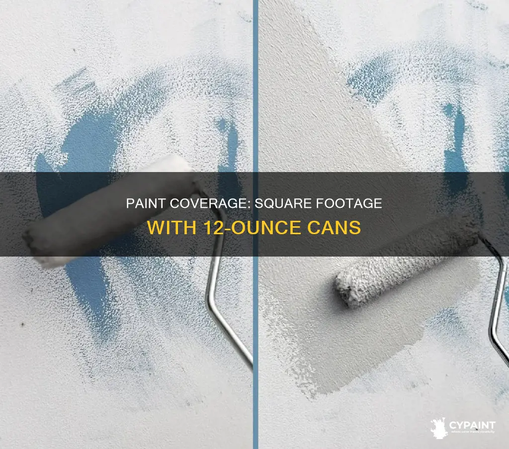 how many square feet per 12 ounce can paint