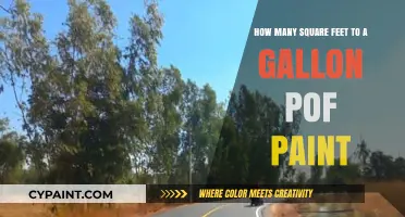 Square Footage and Paint: How Much Do You Need?