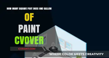 How Much Area Can One Gallon of Paint Cover?