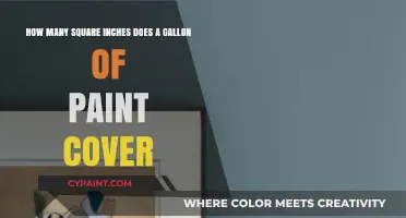 Gallon of Paint Coverage: Square Inches Explained for DIYers