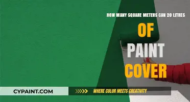 Paint Coverage Guide: 20 Litres' Square Meter Capacity Explained