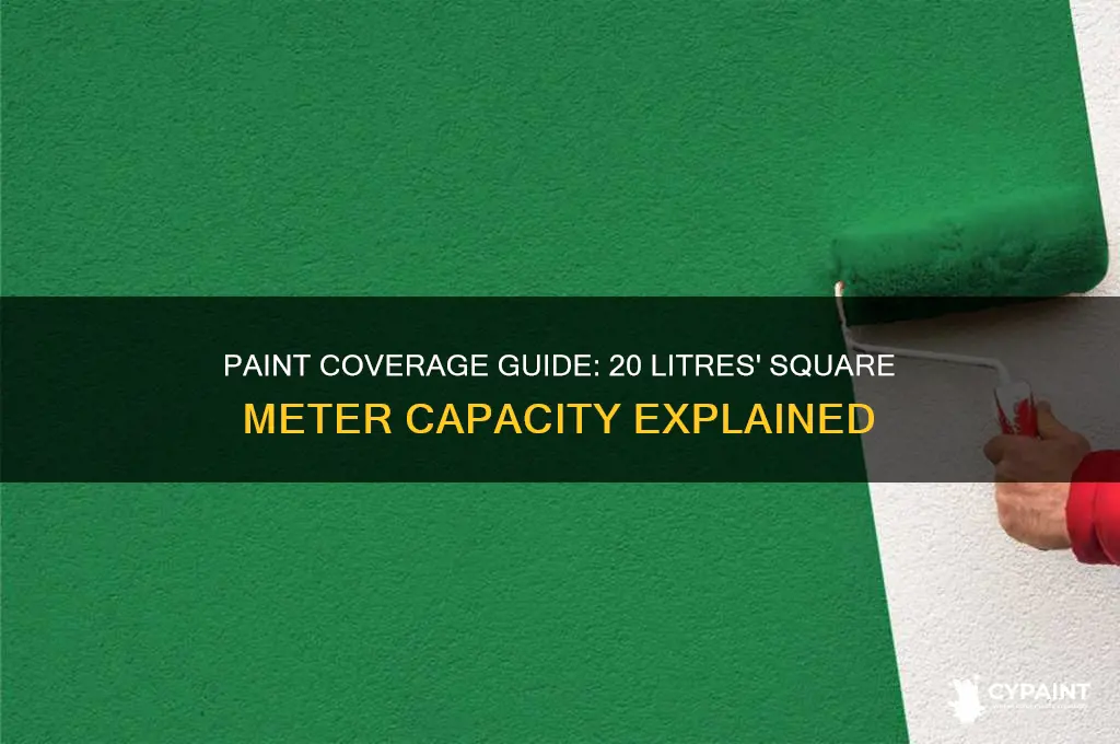how many square meters can 20 litres of paint cover
