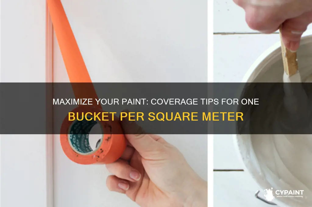 how many square meters can a bucket of paint cover