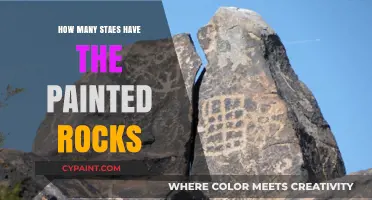 Exploring the Painted Rocks Trend: How Many States Participate?