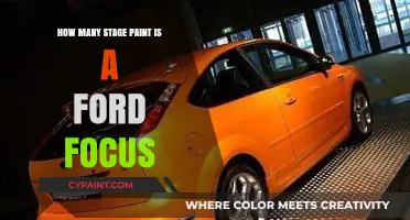 Understanding the Multi-Stage Paint Process of a Ford Focus