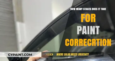 Mastering Paint Correction: Stages for Perfection