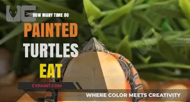 Painted Turtles' Feeding Frequency: Understanding Their Eating Habits