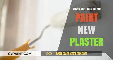 Painting New Plaster: Essential Tips for Perfect Timing and Application